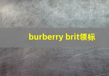 burberry brit领标